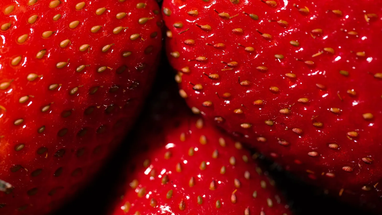 Primo piano di tre fragole rosse con i piccoli acheni gialli ben visibili sulla superficie
